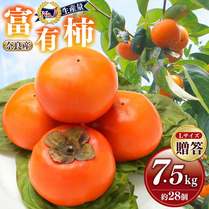【ふるさと納税】［Sunファーム］富有柿 贈答用 Lサイズ28個入（約7.5kg） | フルーツ くだもの 果物 柿 かき カキ 富有柿 日本一の柿のまち 秋の味覚 贈答用 贈り物 奈良県 五條市柿