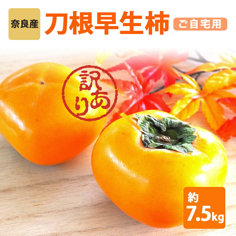 【ふるさと納税】 訳 あり たねなし 刀根 早生 柿 ご自宅用 約 7.5kg ［Sunファーム］ | フルーツ くだもの 果物 柿 かき カキ 刃根早生柿 奈良県 五條市 訳あり 日本一の柿のまち 秋の味覚 自宅用 家庭用 特産品 果物