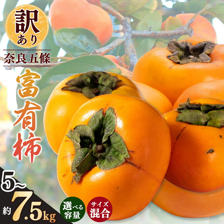 【ふるさと納税】訳あり 富有柿  サイズおまかせ | フルーツ くだもの 果物 ブランド ふゆう 柿 かき カキ たっぷり  産地 奈良県 五條市 吉野