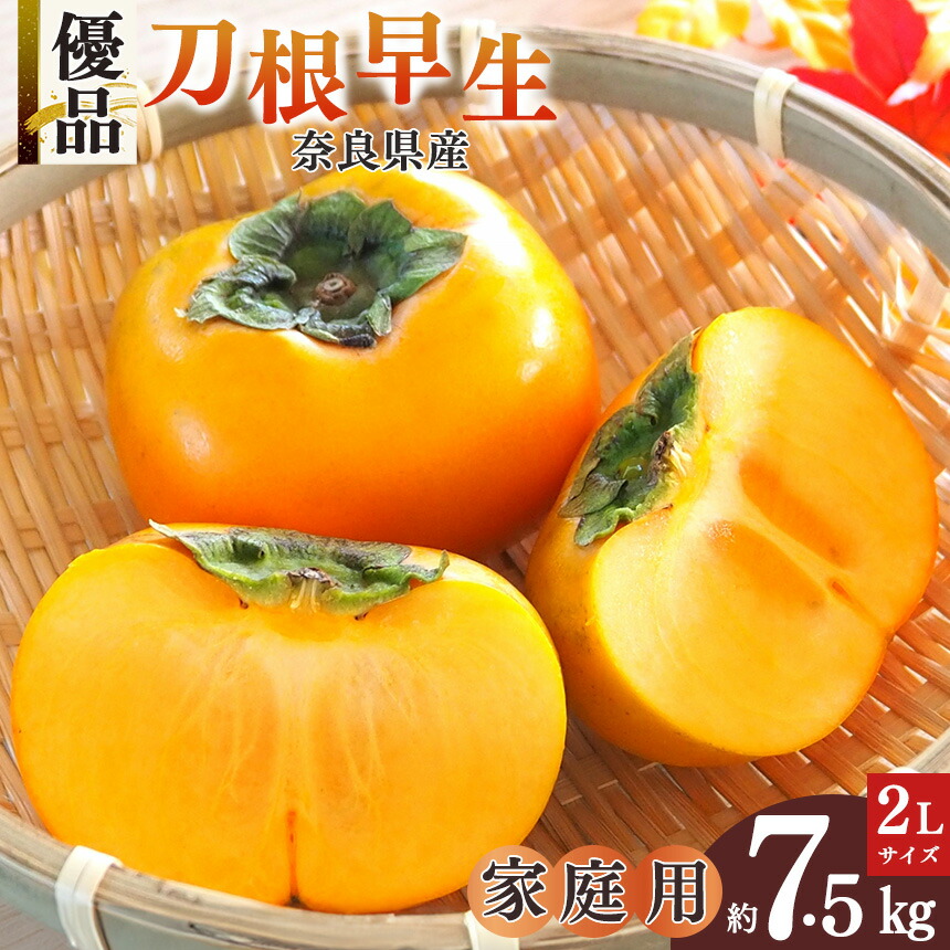 【ふるさと納税】【 訳あり 】富有柿 家庭用 約7.5キロ ダンボール箱　2L 20～22玉 | フルーツ くだもの 果物 柿 かき カキ  奈良県 五條市 坂口農園
