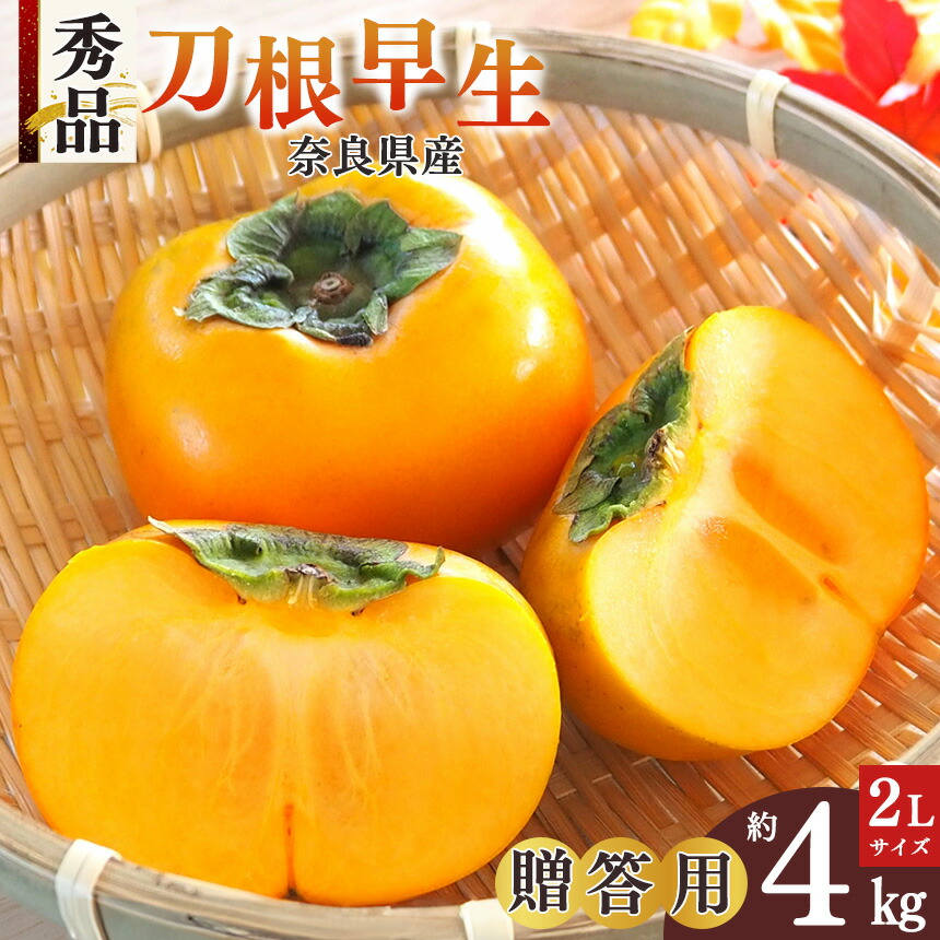 【ふるさと納税】刀根早生 秀品 贈答用 2L 約4キロ 13玉 | フルーツ くだもの 果物 柿 かき カキ 贈答用 奈良県 五條市 坂口農園