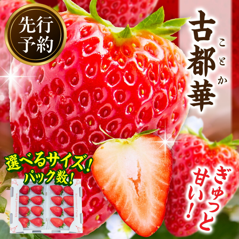 【ふるさと納税】《サイズ・パック数が選べる》【2026年2月～3月発送】高級いちご「古都華」 先行予約 ことか 甘い 糖度 濃い 濃厚 果汁 香り 朝摘み いちご イチゴ 苺 フルーツ 果物 くだもの ご褒美 ごほうび 贈答 贈り物 ギフト プレゼント 冷蔵 奈良県 生駒市 送料無料