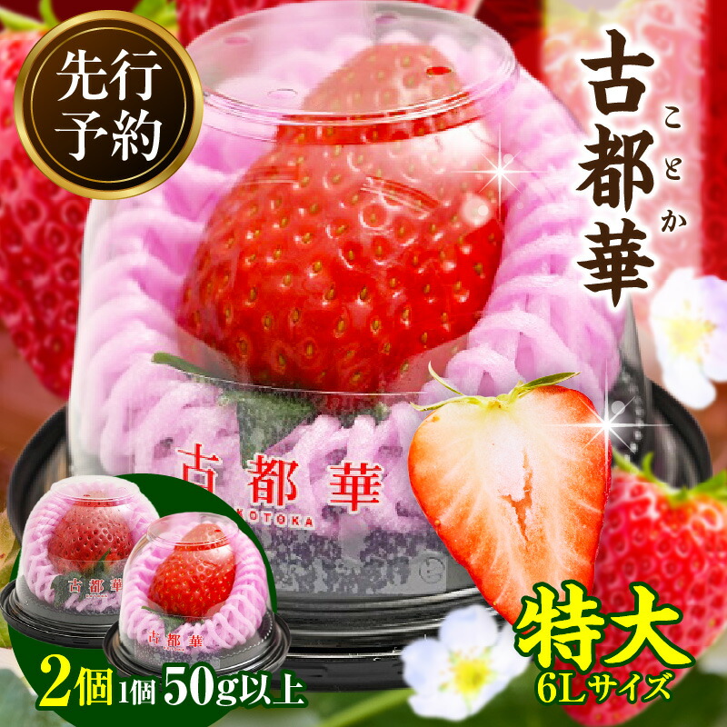 【ふるさと納税】【2026年2月～3月発送】贈答用：高級いちご「古都華」特大6Lサイズ以上2個 先行予約 ことか 甘い 糖度 濃い 濃厚 果汁 濃赤 香り 朝摘み いちご イチゴ 苺 フルーツ 果物 くだもの ご褒美 ごほうび 贈り物 ギフト プレゼント 冷蔵 奈良県 生駒市 送料無料