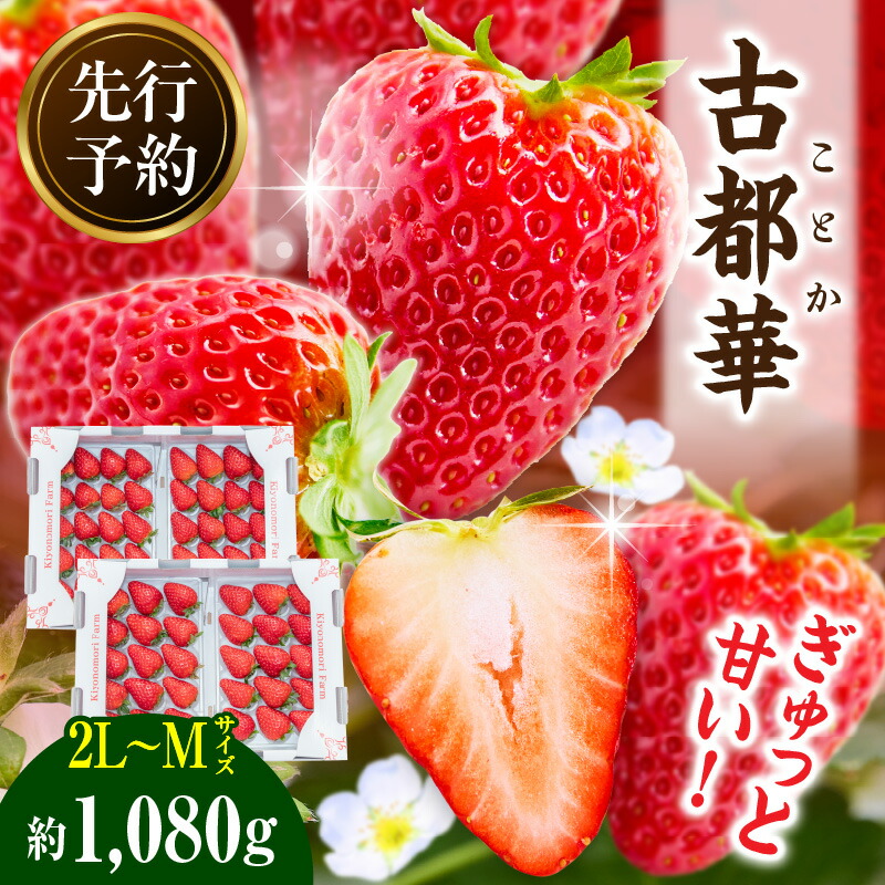 【ふるさと納税】【2026年4月～5月発送】高級いちご「古都華」4パック(小さいサイズ) 先行予約 ことか 甘い 糖度 濃い 濃厚 果汁 香り 朝摘み いちご イチゴ 苺 フルーツ 果物 くだもの ご褒美 ごほうび 贈答 贈り物 ギフト プレゼント 冷蔵 奈良県 生駒市 送料無料