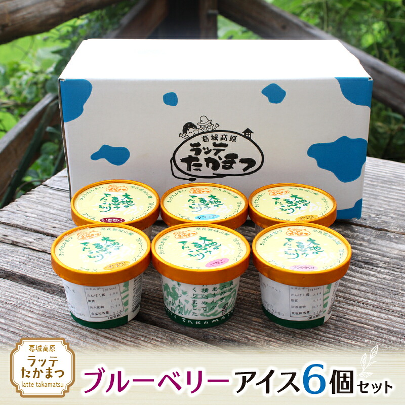 【ふるさと納税】ラッテたかまつ ブルーベリーアイス6個セット ／葛城 高原 牧場 ラッテのアイス【latt017】