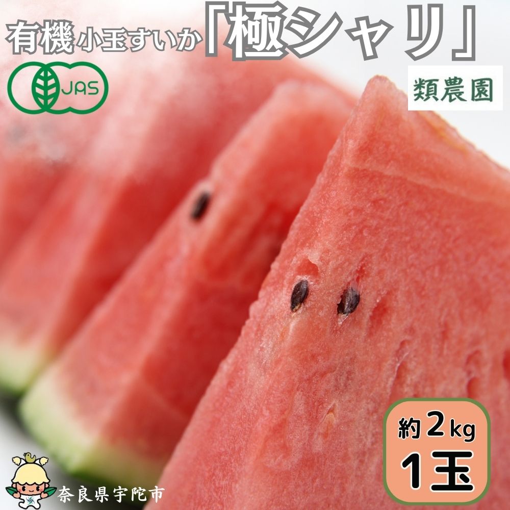 【ふるさと納税】＜予約販売＞有機小玉すいか　「極シャリ」約2kg／有機 小玉すいか 極シャリ  贈答 ギフト お盆 お供え デザート おいしい 奈良県 宇陀市 類農園