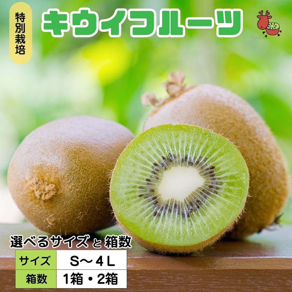 【ふるさと納税】＜12月以降順次発送＞＜選べるサイズ・箱数＞プレミアム キウイ フルーツ S～4Lサイズ 追熟処理済 ／ ふるさと納税 キウイ キウイフルーツ ギフト 栄養 果物 お土産 化学肥料不使用 特別栽培 塩 奈良県 宇陀市 やまとファームJAPAN