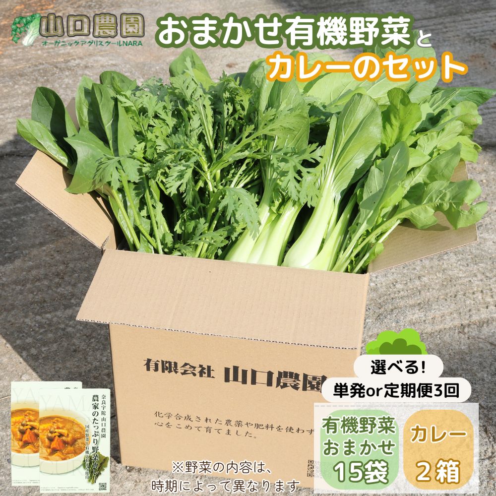 【ふるさと納税】（チルド）山口農園　有機野菜　おまかせセット ＋ カレー２箱 / 山口農園 有機野菜 伝統野菜 オーガニック ベジタリアン 定期便 カレー 無農薬 野菜セット 送料無料 農家直送 ふるさと納税 詰め合わせ 奈良県 宇陀市