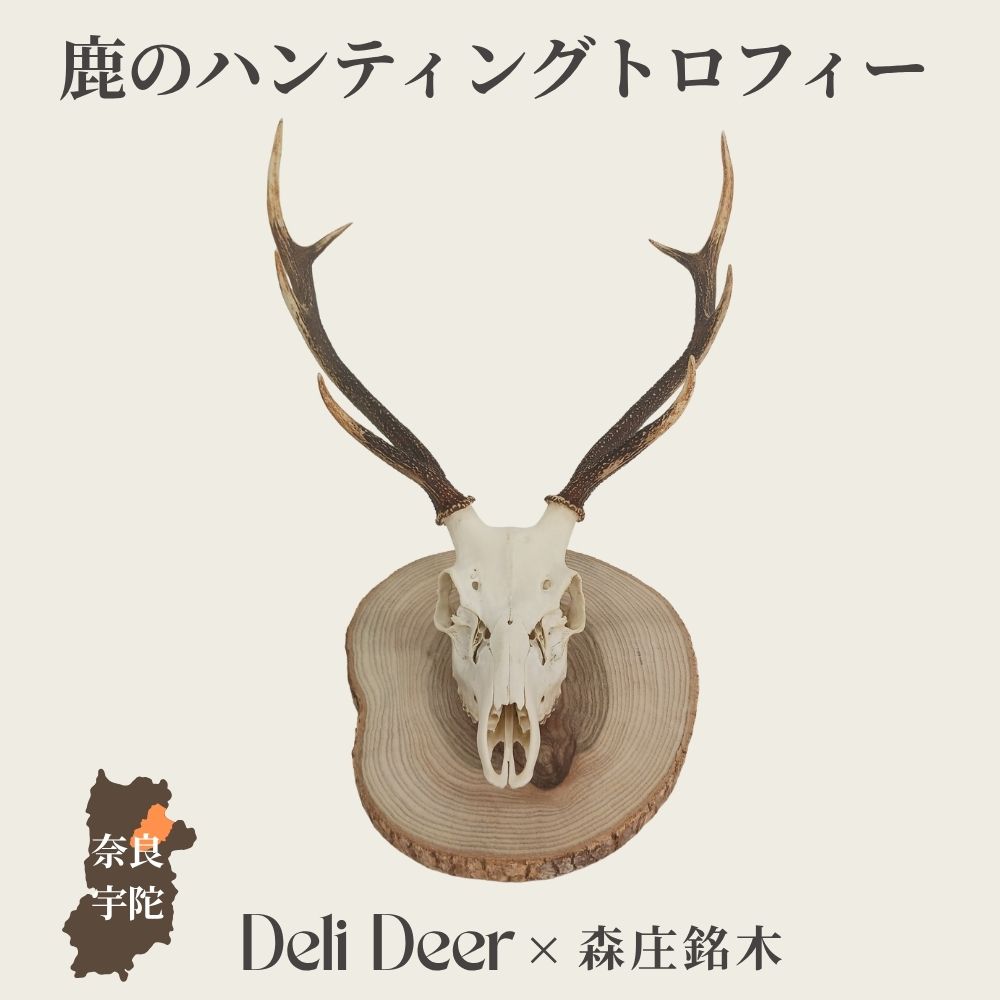 【ふるさと納税】鹿の狩猟賞 ／ あいむふぁっと 銘木×生まれながら原料品 室内装飾 飾りつけ オブジェ 一点物 生まれながら原料品 銘木 木製 御前上等 作物 自然的 奈良県 宇陀市