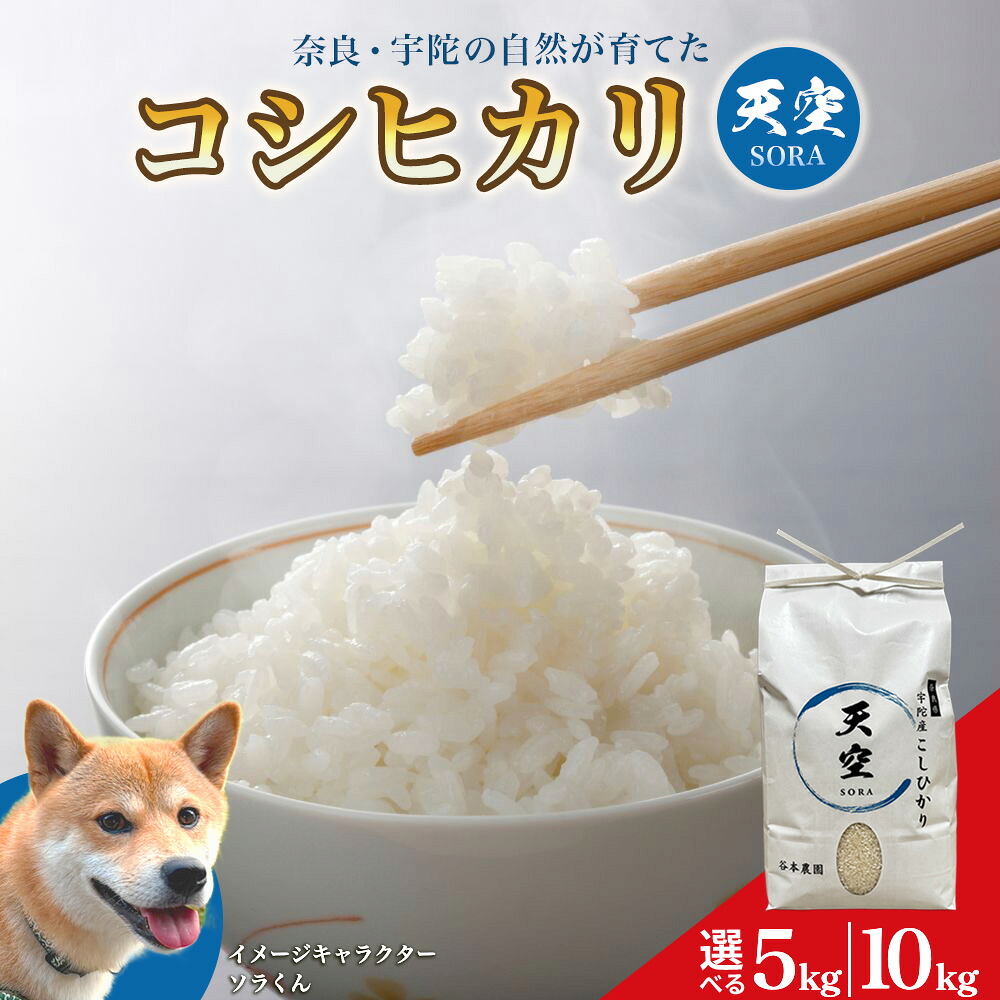 【ふるさと納税】令和8年産 宇陀の自然が育てた 天空【sora】コシヒカリ 5kg・10kg ／ 令和8年 コシヒカリ米 こめ お米 お取り寄せ 美味しい オススメ 精米済 新米 白米 奈良 宇陀｜奈良県宇陀市