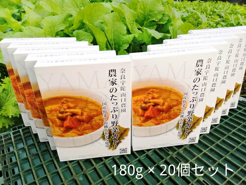 奈良県 オーガニック ２０個 カレー 伝統野菜 オーガニック 有機野菜 宇陀市 奈良県宇陀市jas認定 レトルトカレー ふるさと納税 惣菜 農家のたっぷり野菜カレー 有機栽培