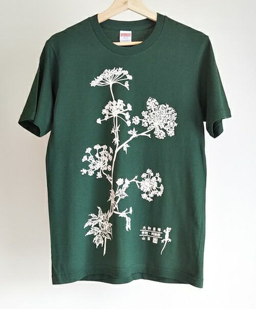 送料無料 楽天市場 ふるさと納税 オリジナルtシャツ 薬草 大和当帰 デザイン アイビーグリーン L ぎゃらりー山百 奈良県 宇陀市 奈良県宇陀市 激安特価 Www Peugeot Tuning Parts Co Uk