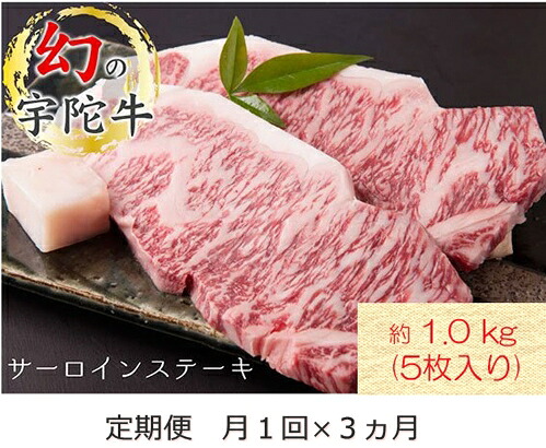 【ふるさと納税】毎月定期便全3回 名産 認定肉 宇陀牛 国産 黒毛和牛 サーロイン ステーキ 5枚 計1kg / 山繁 ふるさと納税 牛肉 牛丼 しゃぶしゃぶ 人気 寄付 ランキング おすすめ グルメ 肉 返礼品 送料無料
