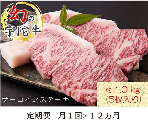 【ふるさと納税】毎月定期便全12回 名産 認定肉 宇陀牛 国産 黒毛和牛 サーロイン ステーキ 5枚 計1kg / 山繁 ふるさと納税 牛肉 牛丼 しゃぶしゃぶ 人気 寄付 ランキング おすすめ グルメ 肉 返礼品 送料無料