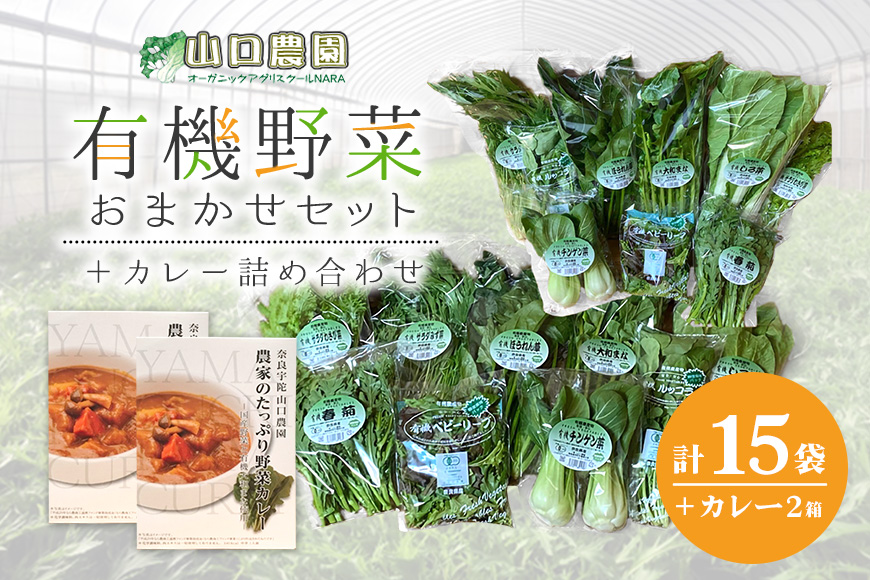 楽天市場】【ふるさと納税】農家のたっぷり野菜カレー １０個／山口