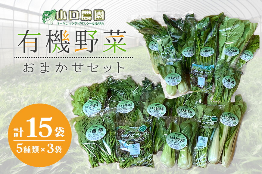 【ふるさと納税】（チルド）　山口農園　有機野菜　おまかせセット ／山口農園 有機野菜 伝統野菜 オーガニック ベジタリアン 無農薬 野菜セット 送料無料 無農薬 農家直送 ふるさと納税 詰め合わせ 奈良県 宇陀市
