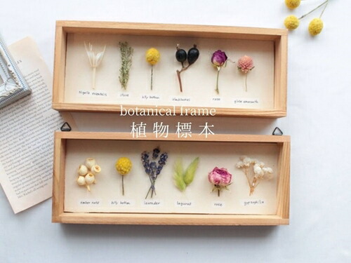 【ふるさと納税】草木代表例 ボタニカルフレーム 流出商品目録 お任せ♪ ／ HANARA 自然的 気取らない 花 差し上げ物 母の日 お上さん 奈良県 宇陀市 生まれ落ちる日 祝い事 敬老の日 有りがたさ 一緒になる祝い事 還暦 言い入れる お供え 花容れもの入り口・入口