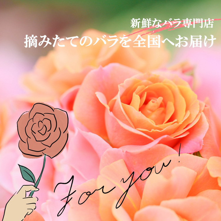 専門ショップ Heguri Rose バラの花束 ピンク系濃淡 50本 新鮮 長持ち 高品質 豪華 綺麗 平群のバラ 平群ブランド 誕生日 記念日 お祝い キュート ピンク かわいい Fucoa Cl