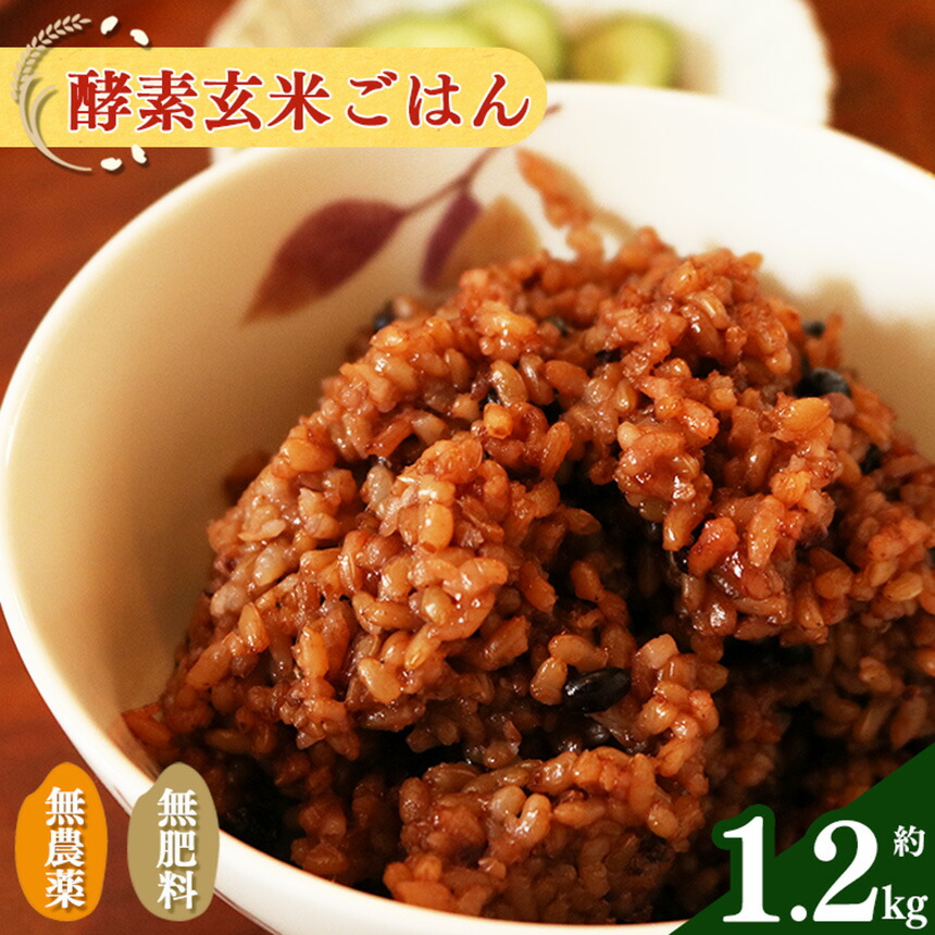 【ふるさと納税】酵素玄米ごはん(長岡式) 約1.2kg | 玄米 げんまい ゲンマ イ 酵素玄米  美容 健康 酵素 パウチ 冷凍 ヘルシー 米 奈良県 平群町
