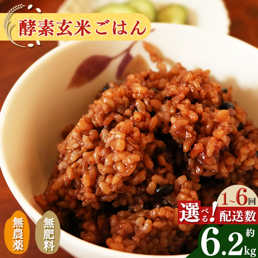 【ふるさと納税】【選べる 配送数】 酵素玄米 ごはん(長岡式) 約6.2kg  ｜玄米 げんまい ゲンマイ  美容 健康 酵素 パウチ 冷凍 ヘルシー 米 奈良県 平群町