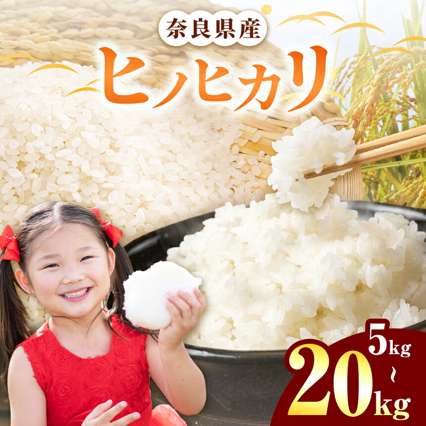 楽天市場】【ふるさと納税】 ヒノヒカリ 玄米 5～20kg 令和7年産 冷め