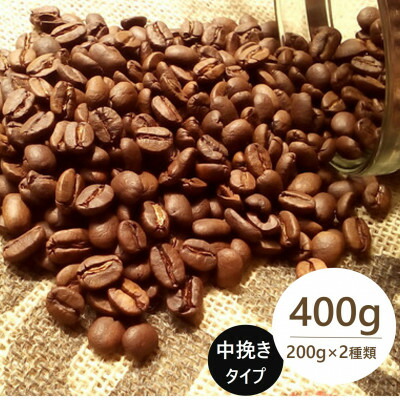 【ふるさと納税】発送当日珈琲豆焙煎!スペシャルティ珈琲豆200g×2種類(中挽き)【1605096】