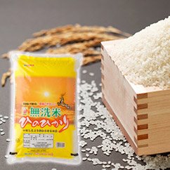 【ふるさと納税】無洗米ひのひかり 奈良県産 10kg 【ふるさと納税】無洗米ひのひかり 奈良県産 10kg