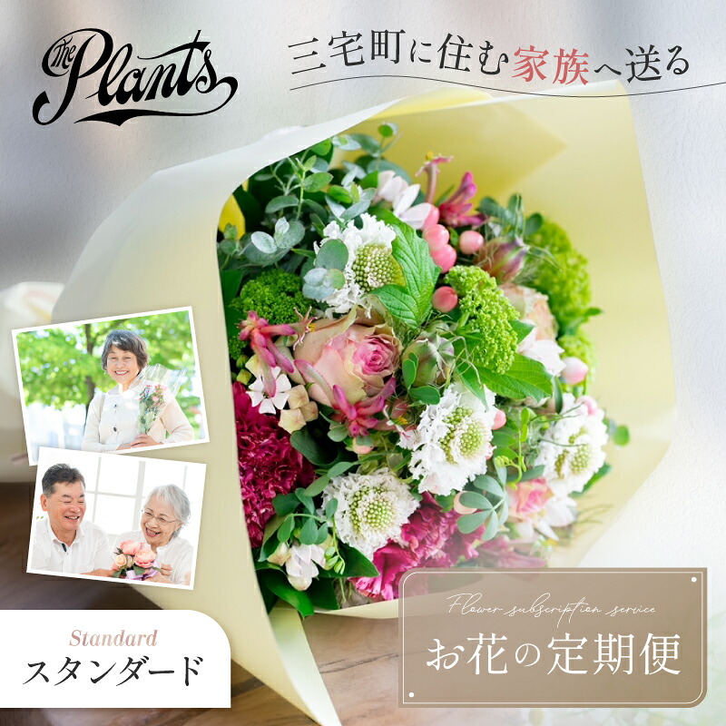 【ふるさと納税】花 御花 ふるさと定期便 3回 お届け 三宅町に住む身寄りへ 胸花 差し上げ物 The Plants