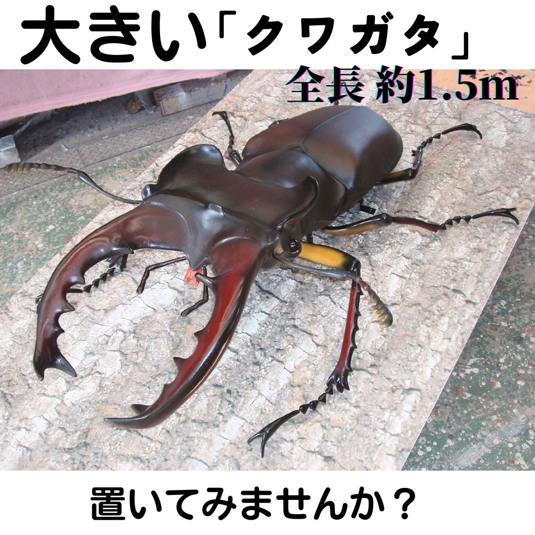 クワガタ　セミ　蜻蛉など23点　昆虫標本　ケース入　送料込み250927 昆虫標本】パリーフタマタクワガタ ガラスケース入り - メルカリ