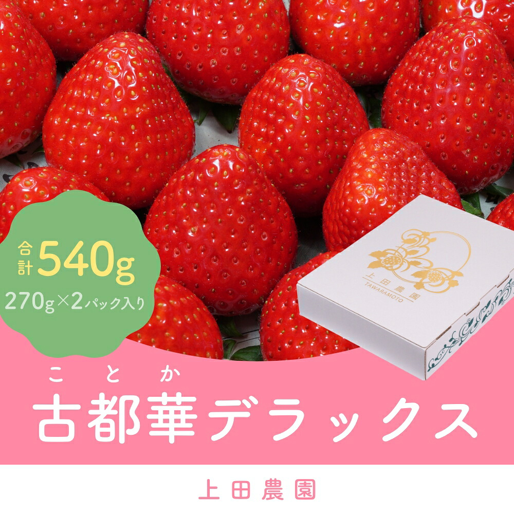 【ふるさと納税】（冷蔵）イチゴ 奈良県産高級ブランド品種「古都華」デラックス（270g×２パック） ／ 上田農園 苺 いちご 果物フルーツ 甘い 奈良県 田原本町