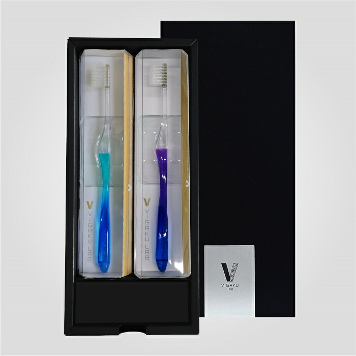 【ふるさと納税】VIGAKU LAB.ギフトセット　グラデーションクールカラー ／ タナベ 歯ブラシ クレンジングブラシ ビガクラボ ハミガキ 大人用 プレゼント ギフト 奈良県 田原本町