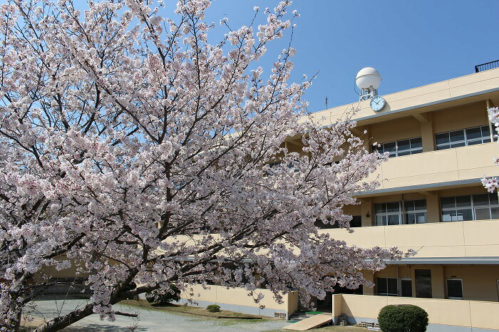 【ふるさと納税】【学校応援ふるさと寄附金】田原本町立東小学校（返礼品なし）5,000円