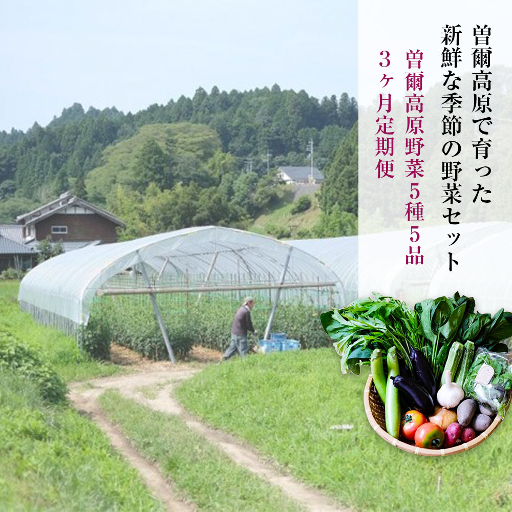 【ふるさと納税】【 定期便 】【2025年7月発送開始】曽爾高原夏野菜5種5品3ヶ月定期便～ご夫婦や小さなご世帯の食べきりサイズ～ ふるさと納税 野菜 定期 野菜セット 定期便 お楽しみ セット 詰め合わせ 送料無料 奈良 奈良県 お得 支援 応援 美味しい 先行予約