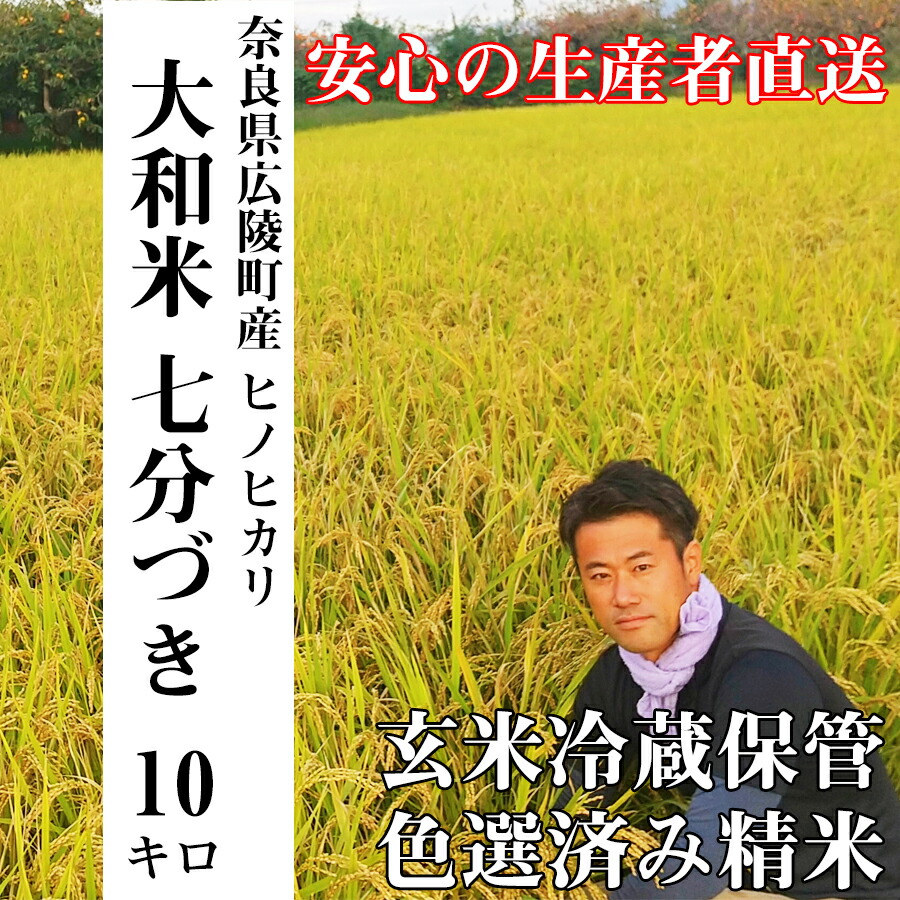 市場 ふるさと納税 日本製 大容量で大満足 奈良県 広陵町 ヤマトポーク肉まんと海鮮中華まんの食べ比べセット 国産 レンジOK 海鮮まん5 豚まん6