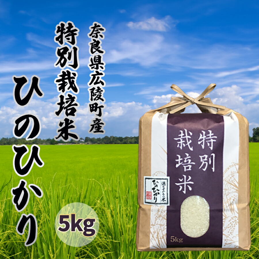 ☆新米！特売！安心な保有米！玄米！１０kg♪レンゲ特別栽培美濃ハツシモ美味しい ☆新米！特売！安心な保有米！玄米！10kg♪レンゲ特別栽培美濃