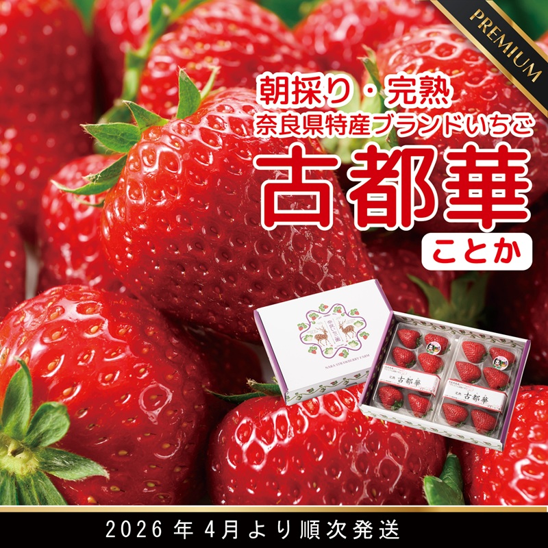 【ふるさと納税】【数量限定】【先行予約】【4月より順次発送】奈良県特産 高級ブランドいちご「古都華」// いちご イチゴ 古都華 フルーツ 果物 旬 限定 ブランド 朝採り 完熟 いちご ことか 先行予約 古都華 数量限定 古都華 甘い 先行受付 予約 贈答用 ギフト 化粧箱
