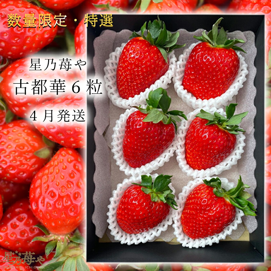 【ふるさと納税】先行予約 特選大粒いちご 奈良県のいちご古都華1パック 2026年4月発送 // /苺 いちご イチゴ 古都華 奈良 奈良県 広陵町 生産者直送 直送 厳選 数量限定 旬 フルーツ 甘い 完熟 果物