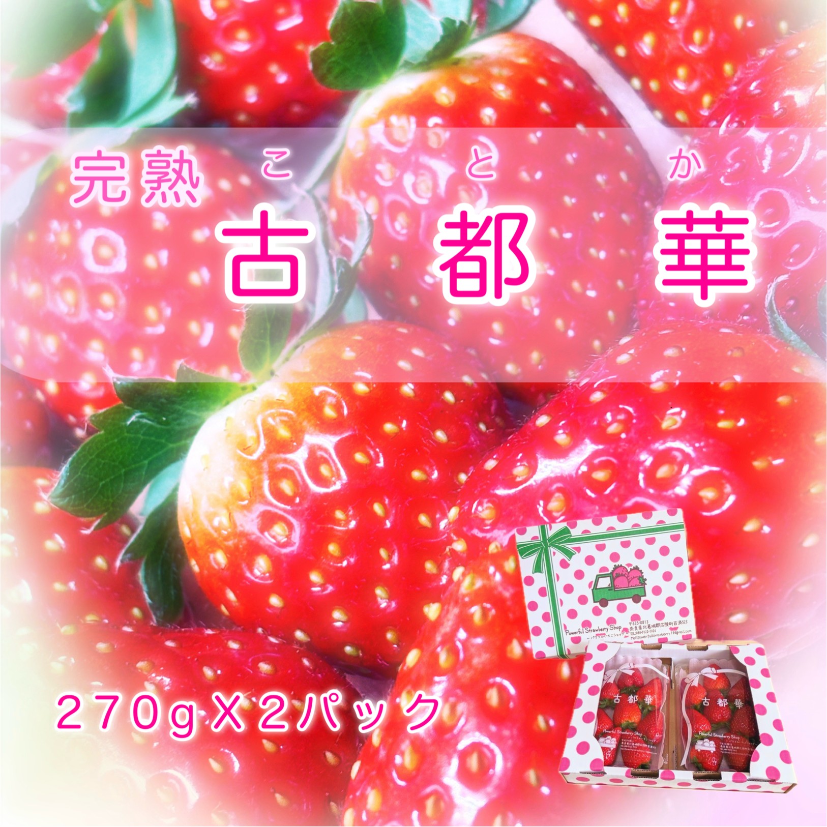 【ふるさと納税】【先行予約】【4月発送】「古都華」いちご好きのためのいちご 奈良県ブランドいちご // いちご イチゴ 古都華 フルーツ 果物 旬 甘い 先行受付 予約