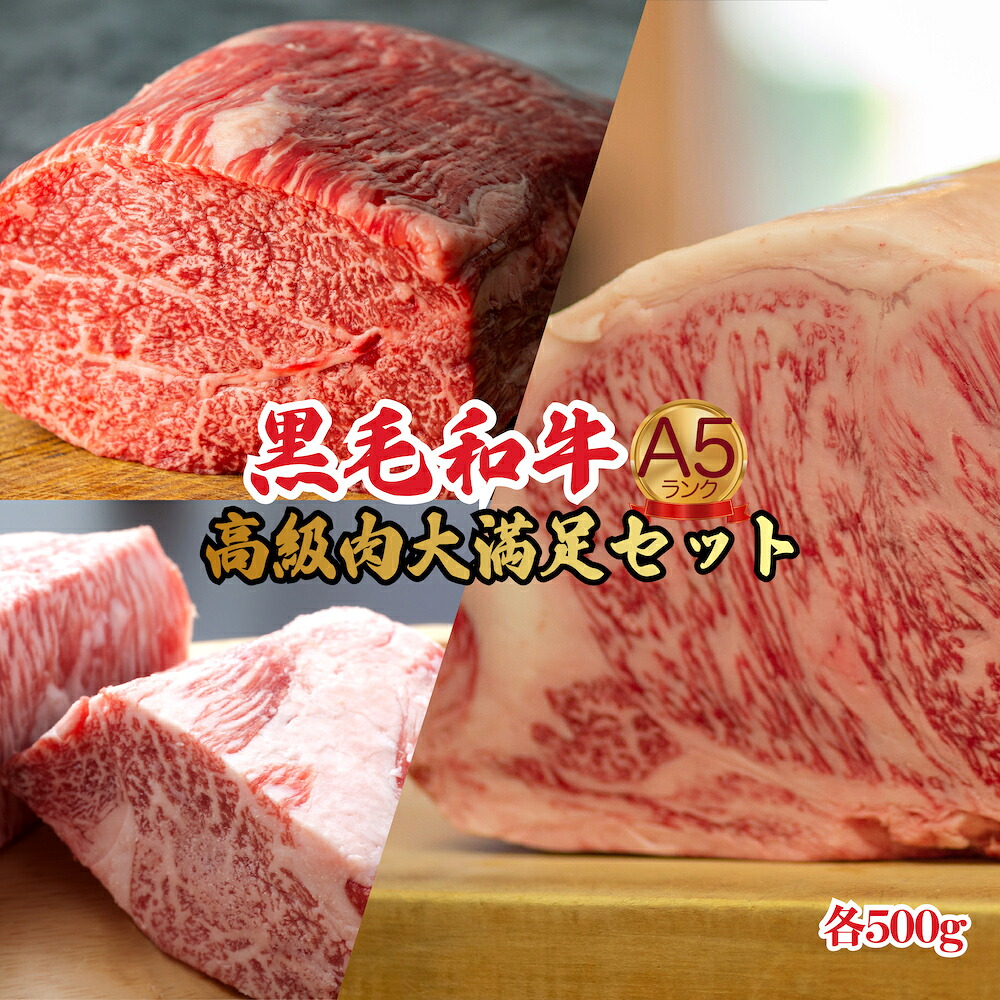 【ふるさと納税】【定期便 6回】黒毛和牛 A5 ブロック肉 1.5kg 食べ比べ モモ ヒレ サーロイン 各500g A5ランク 牛肉 冷蔵 ステーキ ふるさと 納税 奈良県 奈良 河合町 牛 国産牛 国産 和牛 肉 ブロック 食材 食べ物 食品 毎月 定期 贈り物 贈答品 お取り寄せ 美味しい