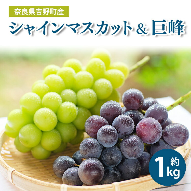 【ふるさと納税】令和８年分 先行予約！シャインマスカット ＆ 巨峰 約1kg 各1房（計2房）| フルーツ ぶどう マスカット 葡萄 果物 奈良県 吉野町 くだもの 果物 9,620円