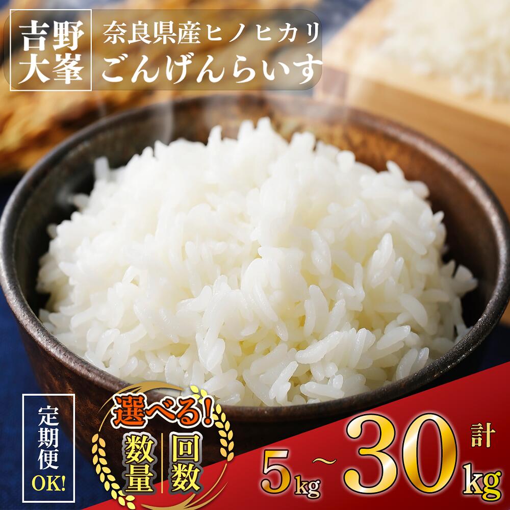 【ふるさと納税】令和７年産ひのひかり 吉野大峯ごんげんらいす 5kg 10kg 30kg　白米 精米 奈良県産 吉野町 ごはん 米 ライス