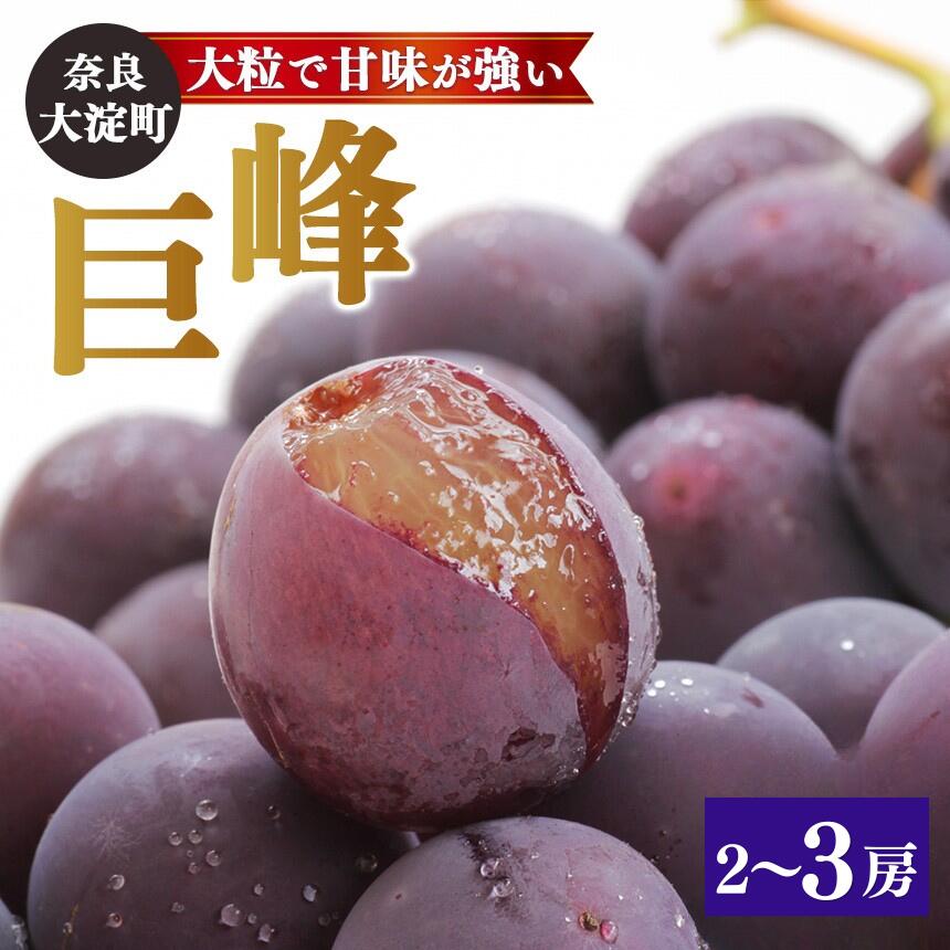 【ふるさと納税】巨峰 （２～３房） | ※8月下旬より発送 果物 くだもの フルーツ ぶどう 葡萄 奈良県 吉野 大淀町