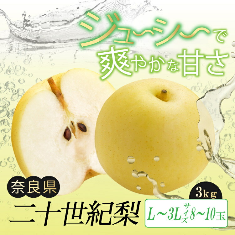 【ふるさと納税】二十世紀梨 L ～ 3L サイズ 約3kg 8玉 ～ 10玉 | フルーツ 果物 くだもの 梨 幸水 奈良県 大淀町