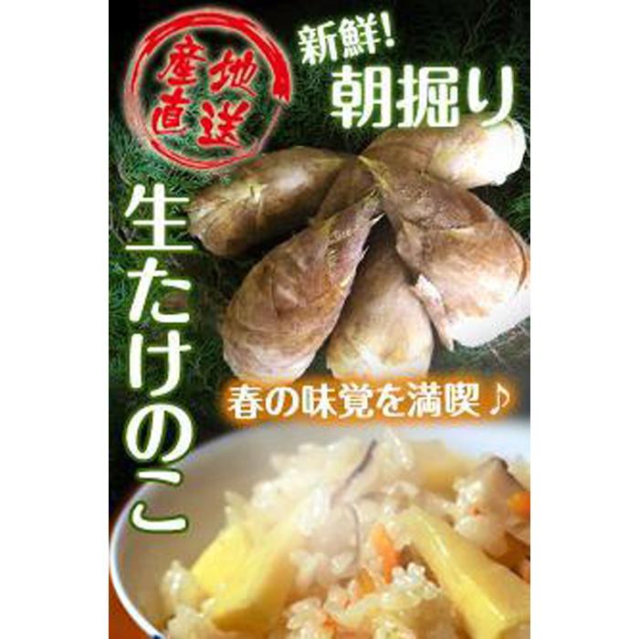 【ふるさと納税】たけのこ 和歌山県産 朝堀り筍 約4kg ぬか付き