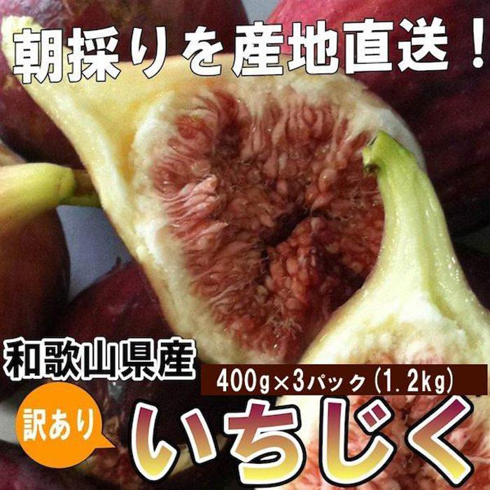 【ふるさと納税】和歌山産 【訳あり】 いちじく  (サイズ不揃い、傷あり) 1.2kg(400g×3パック)