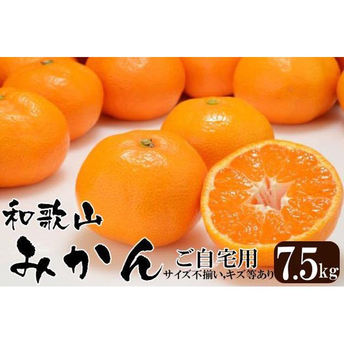 【ふるさと納税】みかん 和歌山産 【訳あり】ミカン 7 . 5kg 【ご自宅用・サイズ不揃い・キズ等あり】 | フルーツ 果物 くだもの 食品 人気 おすすめ 送料無料