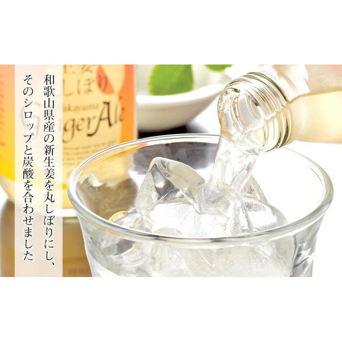 【ふるさと納税】生姜丸しぼりジンジャーエール12本セット | 和歌山市 ジンジャーエール 生姜飲料 炭酸飲料 ソフトドリンク 人気 おすすめ ギフト プレゼント お取り寄せ 通販 送料無料 ふるさと納税