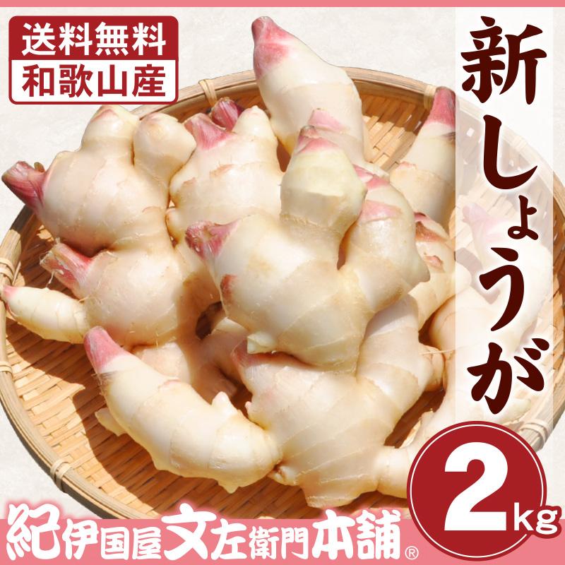 【ふるさと納税】フレッシュ新しょうが２kg詰め 和歌山県産 新生姜 新鮮 産地直送 自家製 甘酢漬け、紅ショウガ、生姜湯、砂糖漬けに【クール冷蔵便】紀伊国屋文左衛門本舗 | 野菜 やさい 食品 人気 おすすめ 送料無料