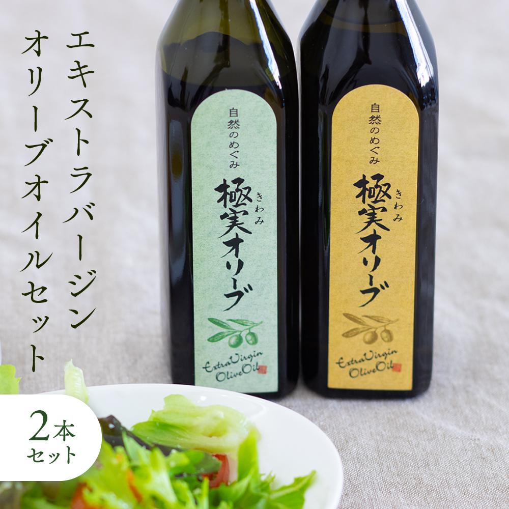 【ふるさと納税】こだわりのエキストラバージンオリーブオイルセット【SM3】 | 油 あぶら 食品 加工食品 人気 おすすめ 送料無料