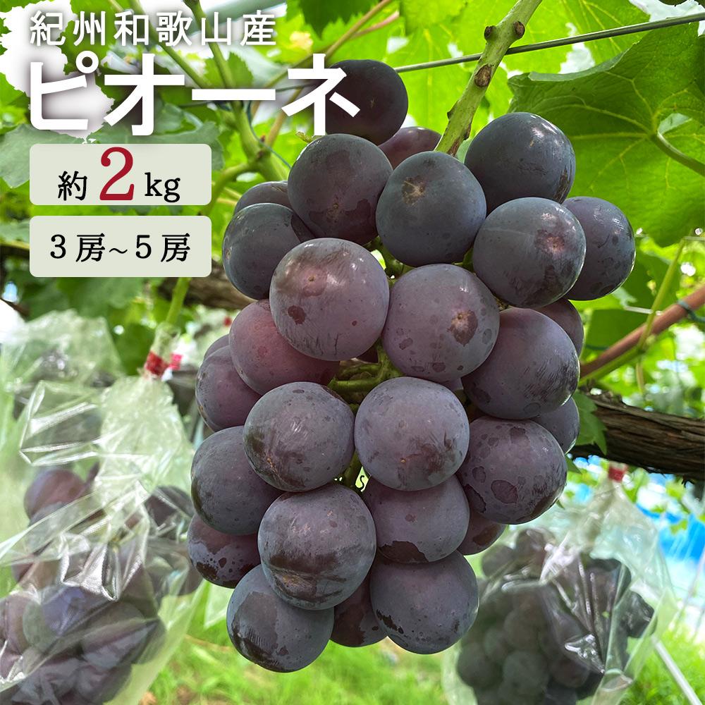 楽天市場】【ふるさと納税】梨 3玉 化粧箱入 紀州和歌山 楽天市場】【ふるさと納税】梨 3玉 化粧箱入 紀州和歌山